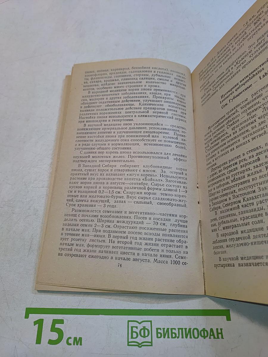 Выращивание лекарственных растений в саду