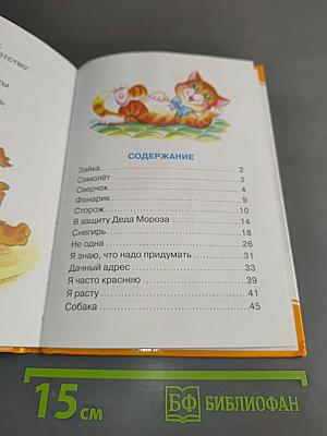 Зайку бросила хозяйка
