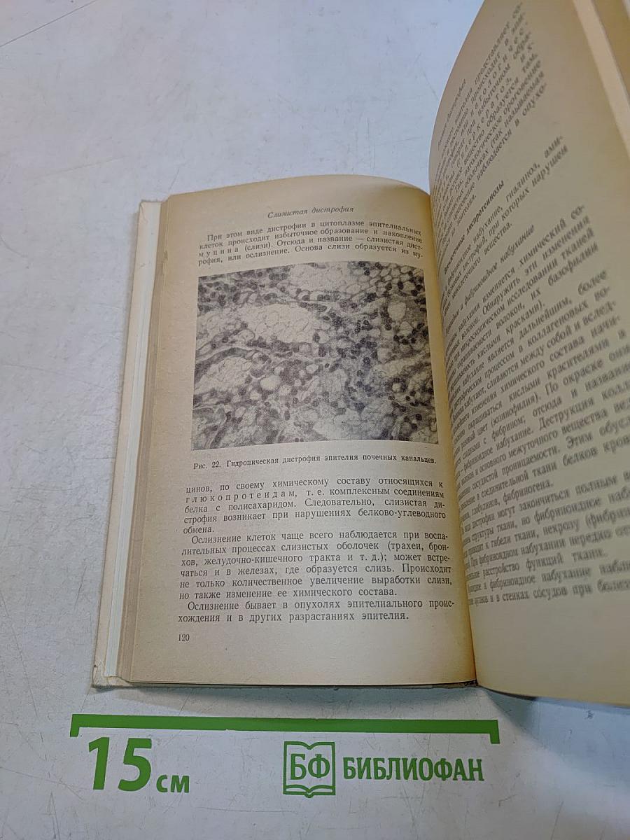 Патологическая анатомия и патологическая физиология