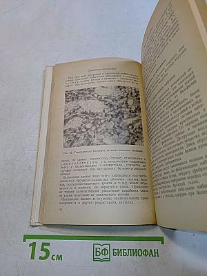 Патологическая анатомия и патологическая физиология