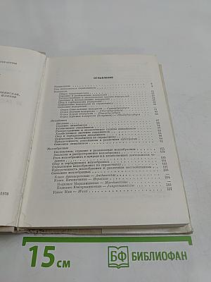 Водоросли, лишайники и мохообразные СССР