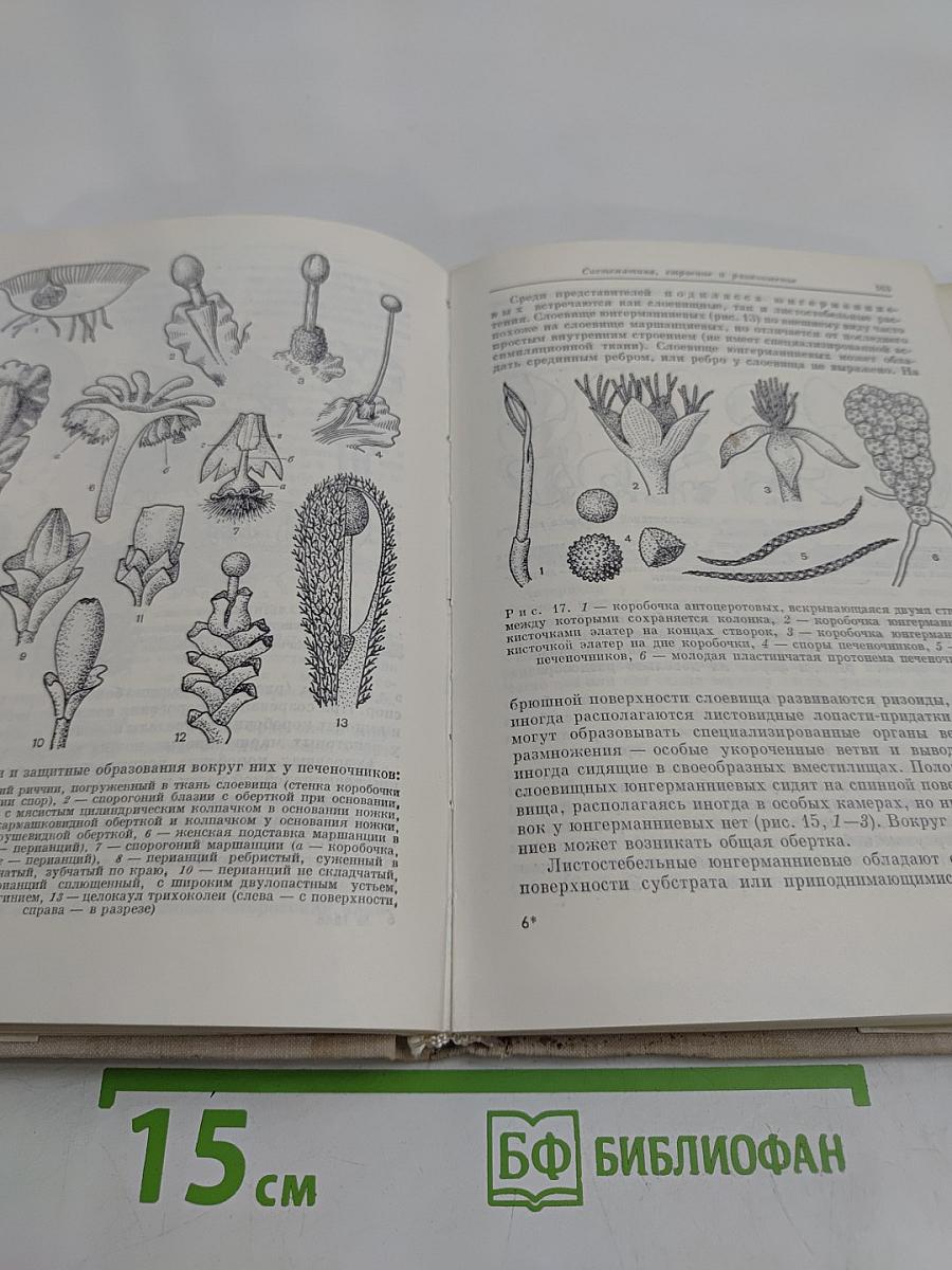 Водоросли, лишайники и мохообразные СССР
