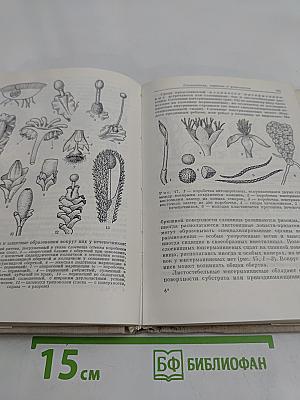 Водоросли, лишайники и мохообразные СССР