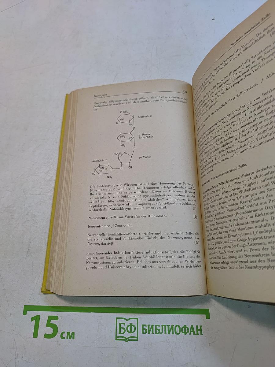 Molekularbiologie