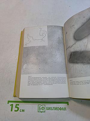 Molekularbiologie