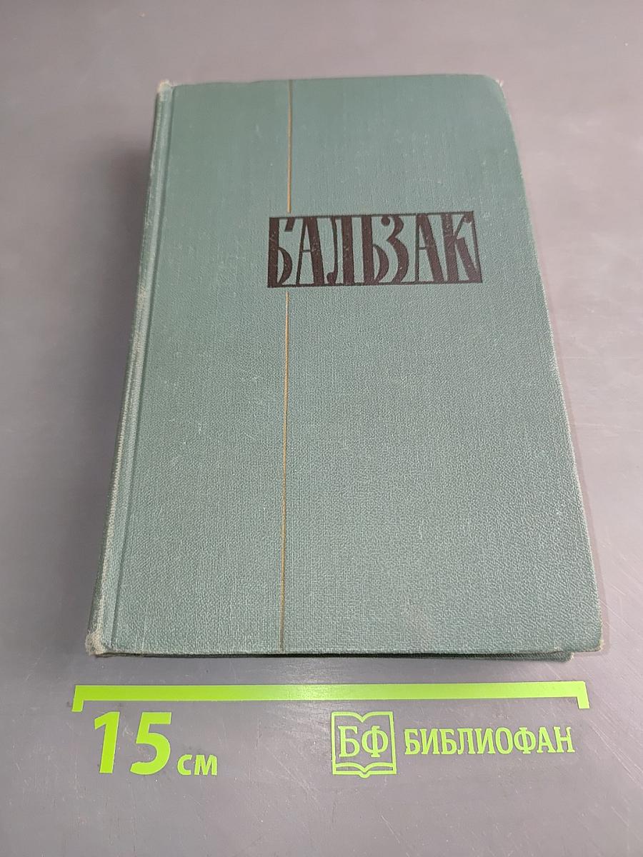 Человеческая комедия. Том 6