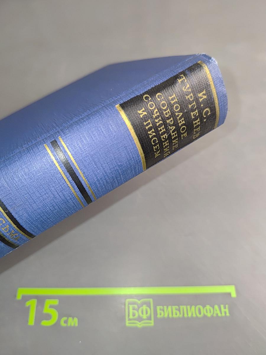 Полное собрание сочинений и писем. Том двенадцатый. Книга вторая. Письма 1879-1880
