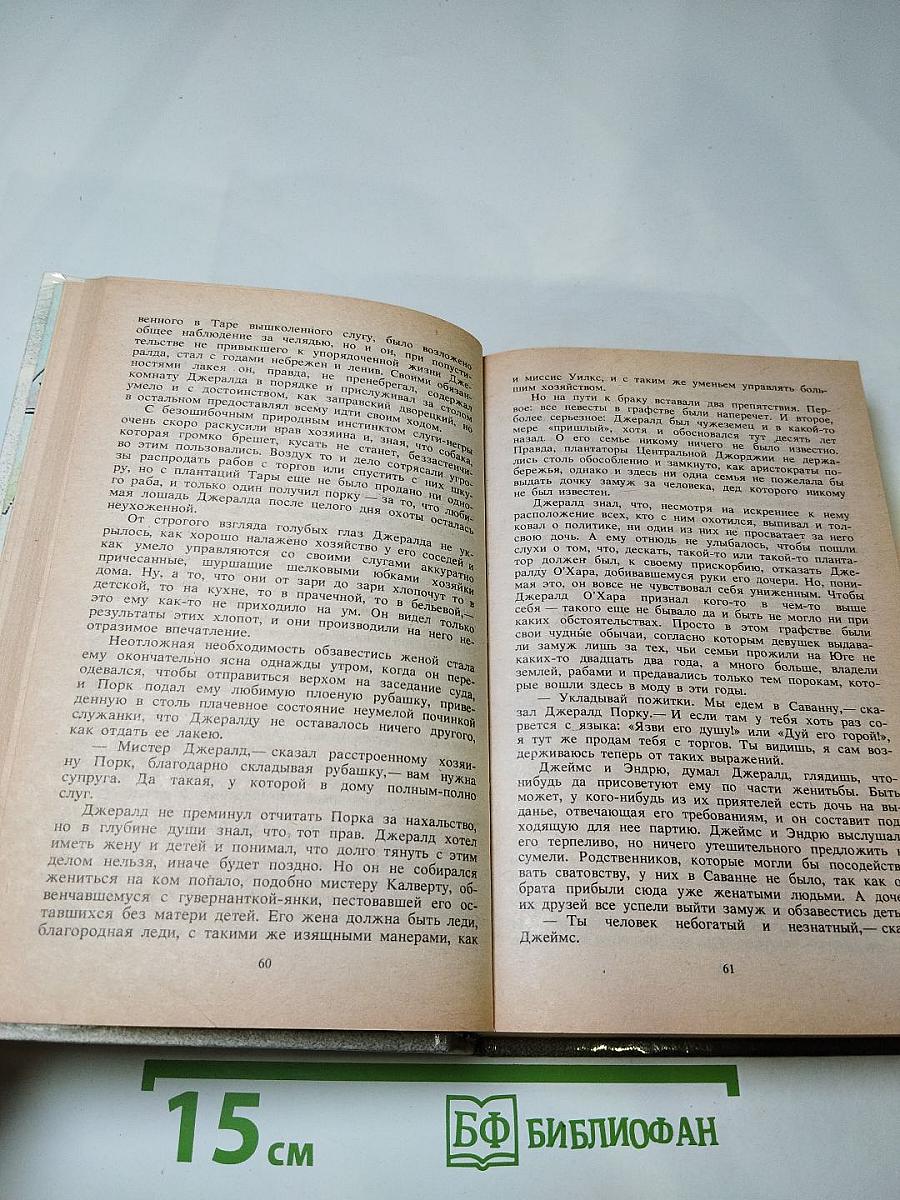 Унесенные ветром. Том 1