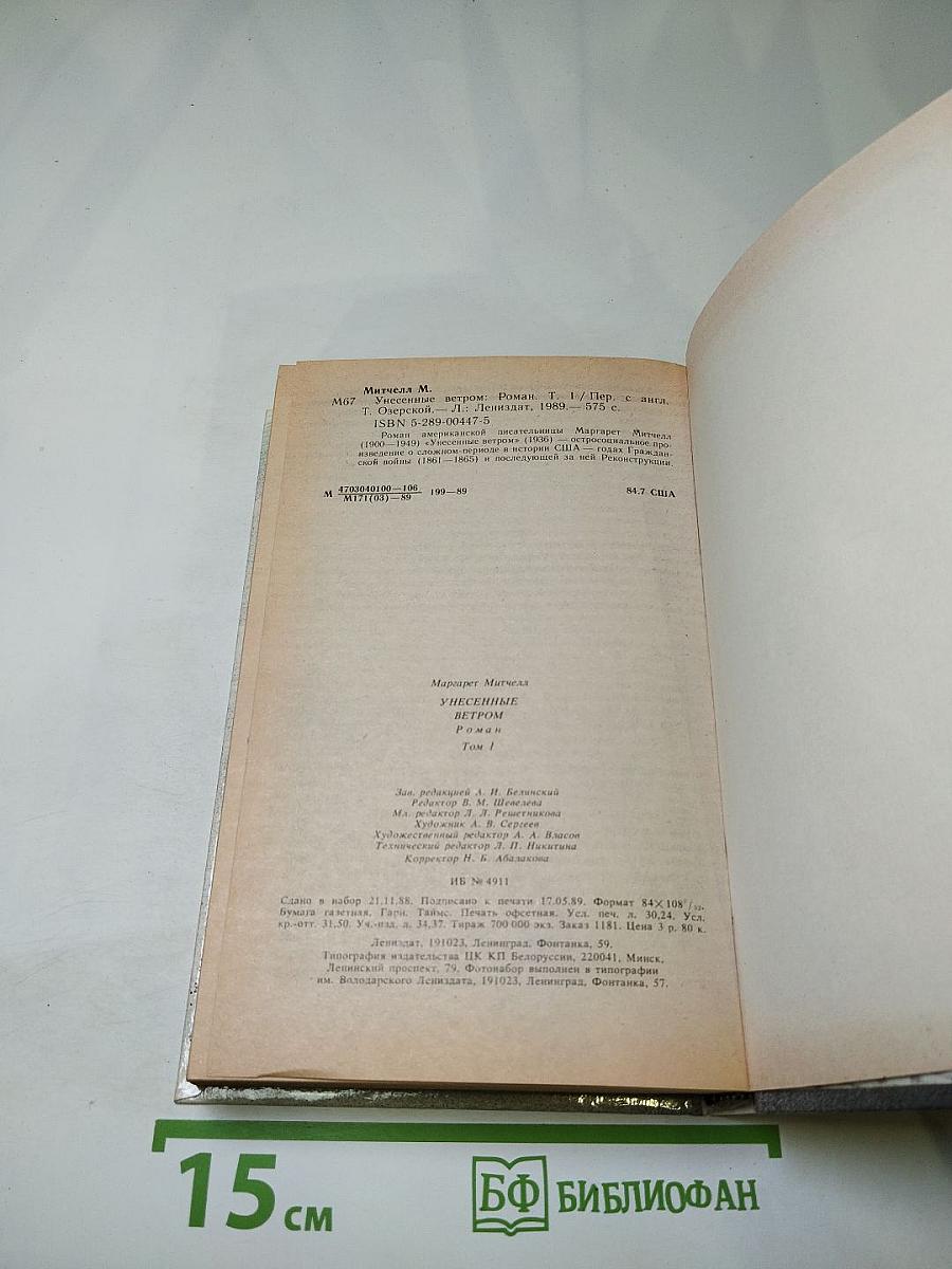 Унесенные ветром. Том 1