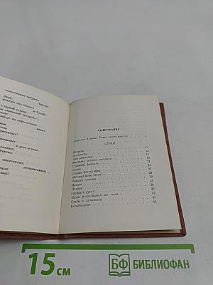 Перед праздником