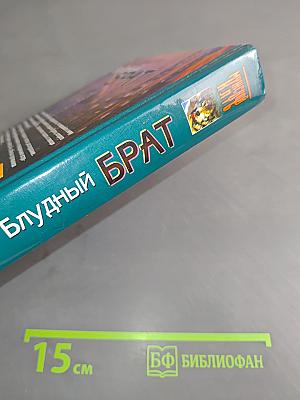Блудный брат