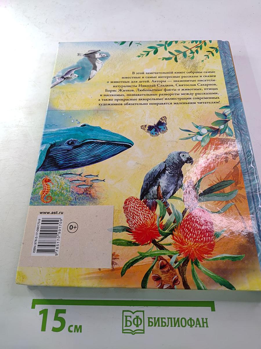 Рассказы и сказки о животных