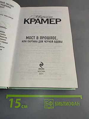 Мост в прошлое, или Паутина для черной вдовы