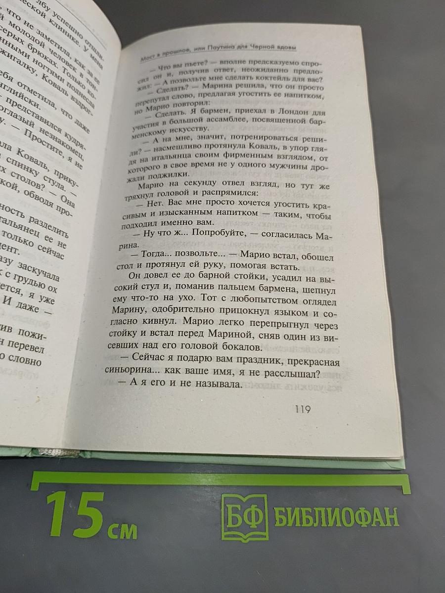 Мост в прошлое, или Паутина для черной вдовы