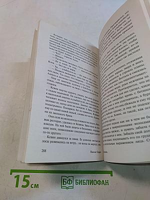 Тихая гавань