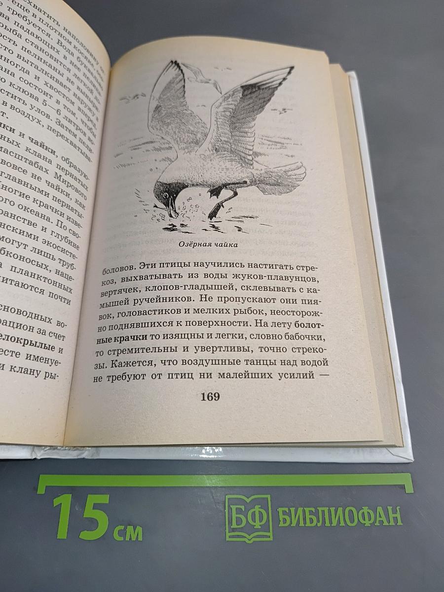 Я познаю мир. Птицы
