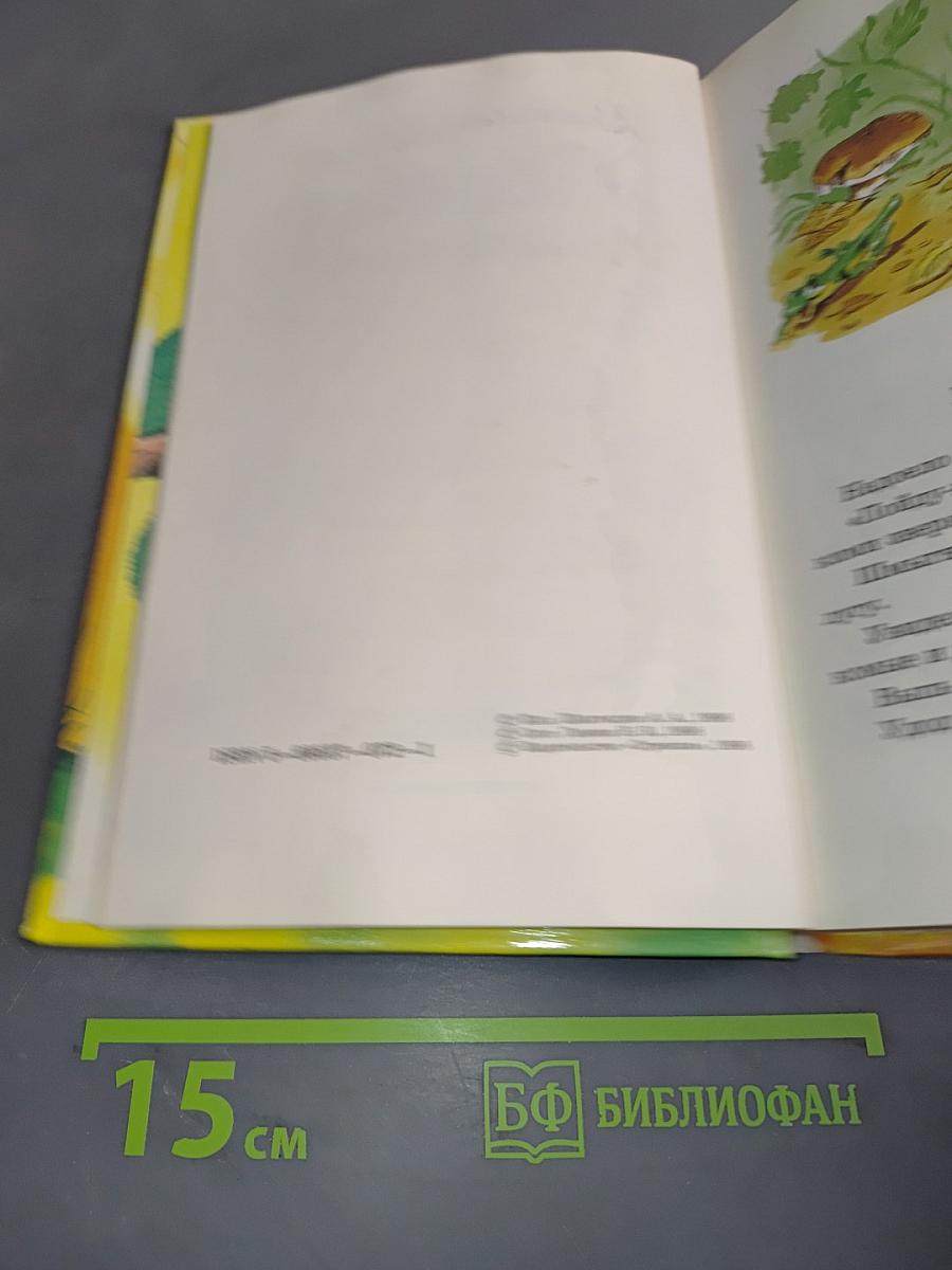 Лесные домишки