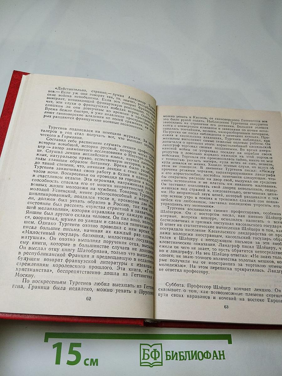 Повесть о братьях Тургеневых. Осуждение Паганини