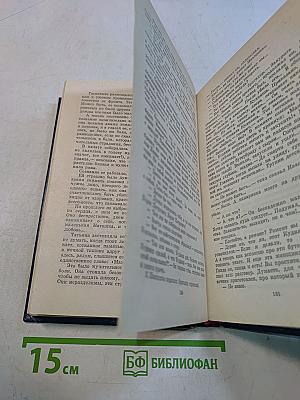 Вечные хлопоты. Книга первая