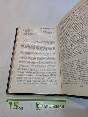 Вечные хлопоты. Книга первая