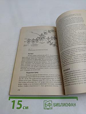 Мой огород