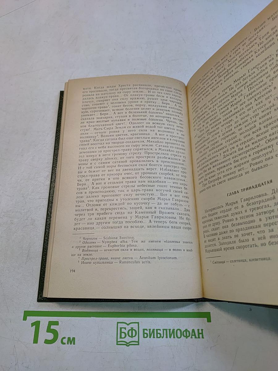 Андрей Печерский в лесах. Книга вторая