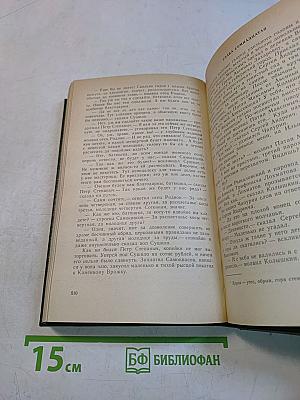 Андрей Печерский в лесах. Книга вторая