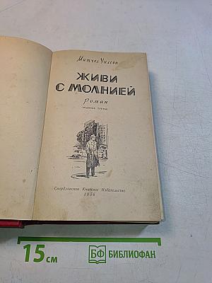 Живи с молнией