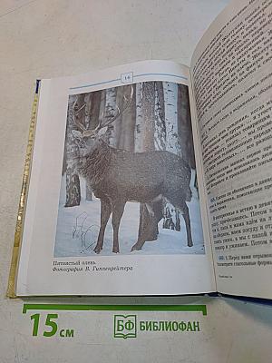 Русский язык. 5 класс