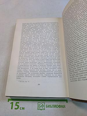 Литература и эстетика. Том первый. Теория искусства и история эстетической мысли