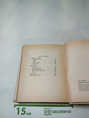 Крылов в Петербурге