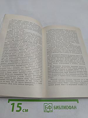 Одна солдатская медаль