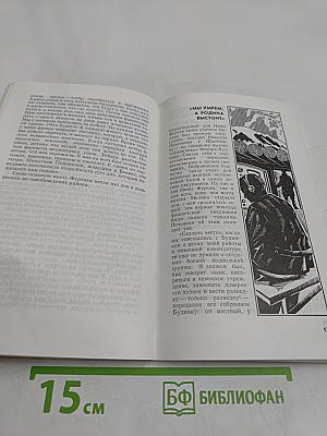 Одна солдатская медаль