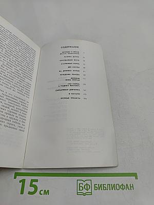 Одна солдатская медаль