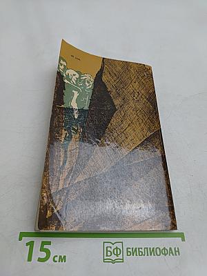 Одна солдатская медаль