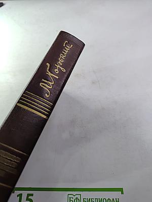 Собрание сочинений. Том девятый. Повести 1907-1909