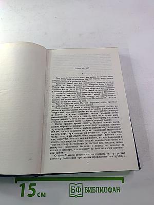 Костёр. Роман. Книга первая. Том седьмой