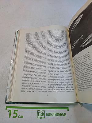 Школа юннатов
