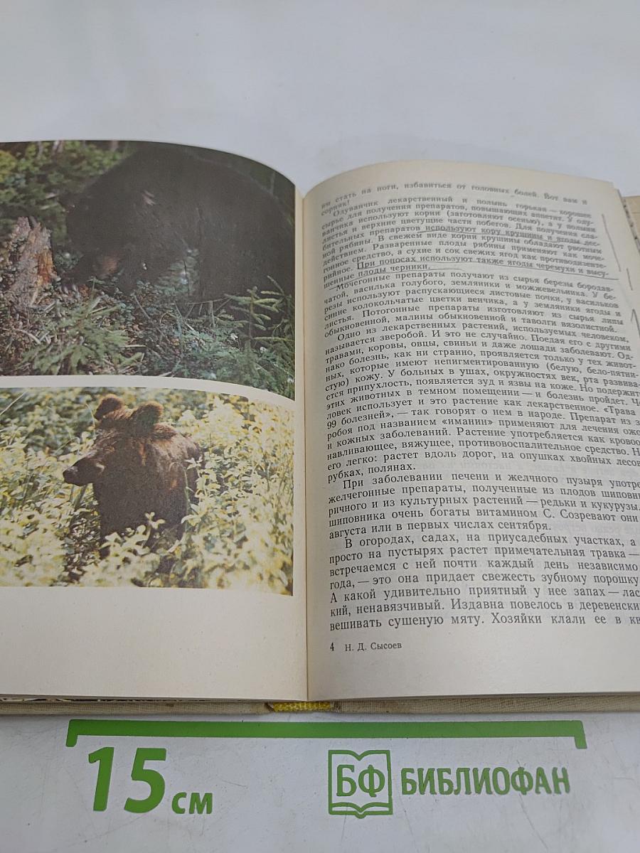 Встречи с природой