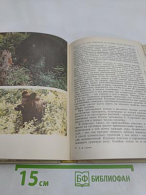 Встречи с природой