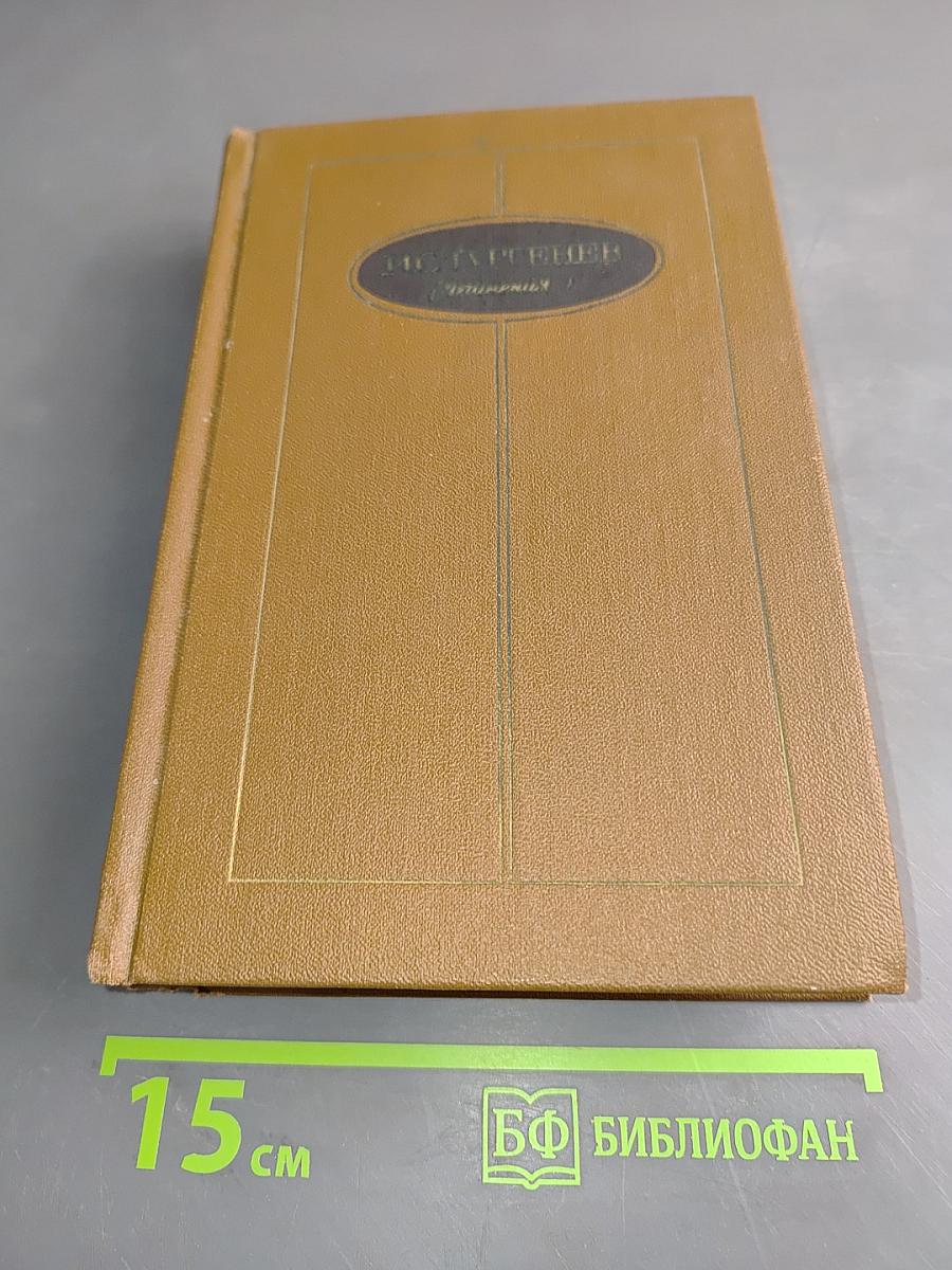 Сочинения. Том третий. Романы 1862-1877