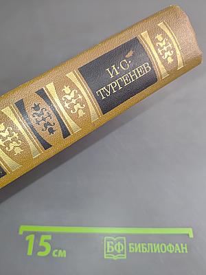 Сочинения. Том третий. Романы 1862-1877