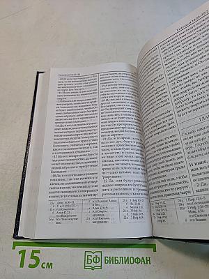 Книга Мормона: Еще одно свидетельство об Иисусе Христе