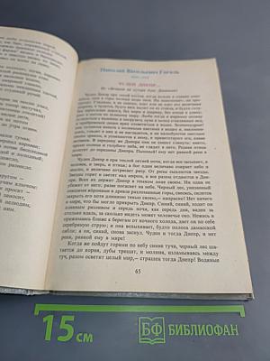 В мире русской литературы. Книга для внеклассного чтения. 6 класс