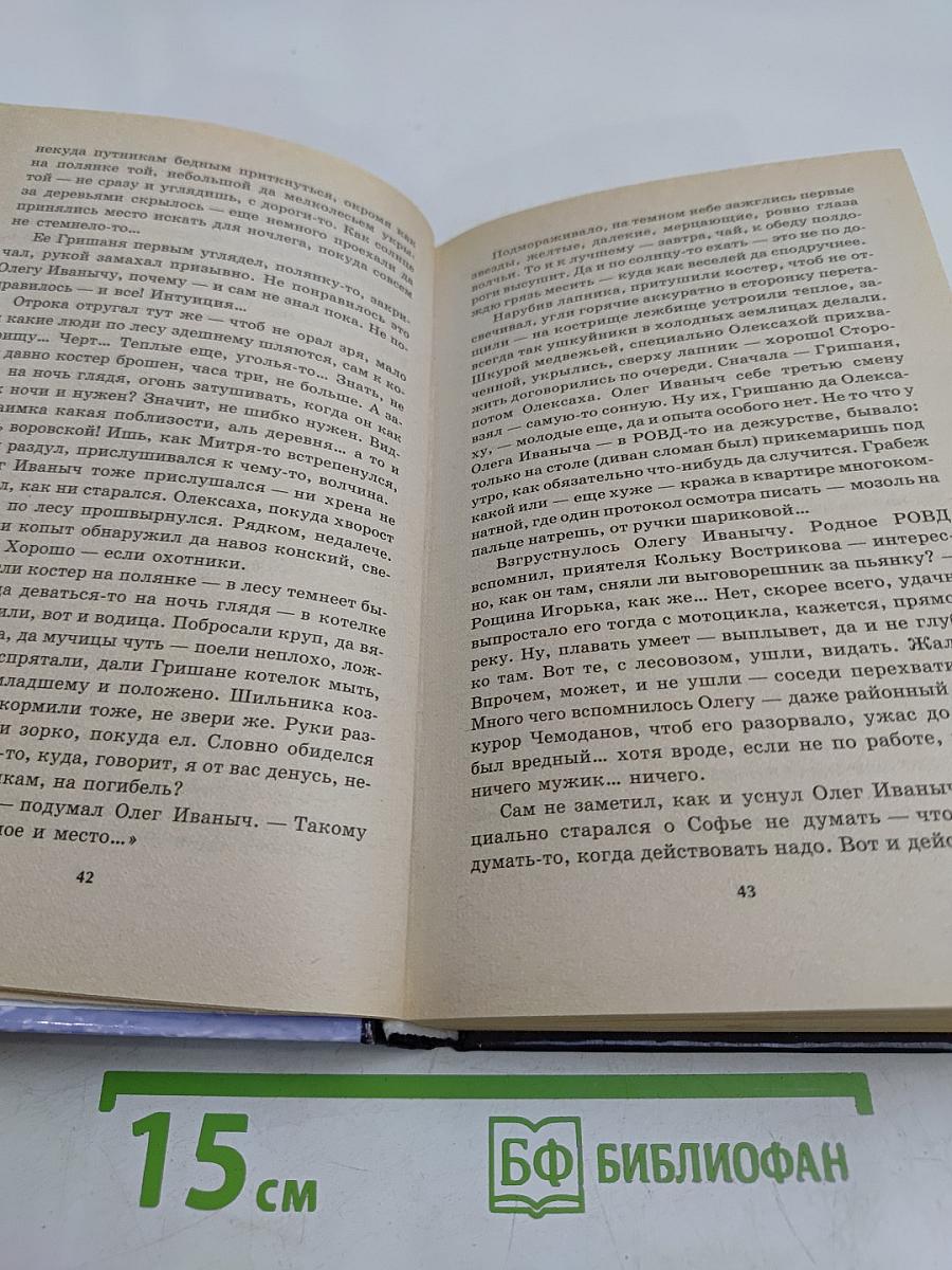Посол Господина Великого. Новгородская сага. Книга 2