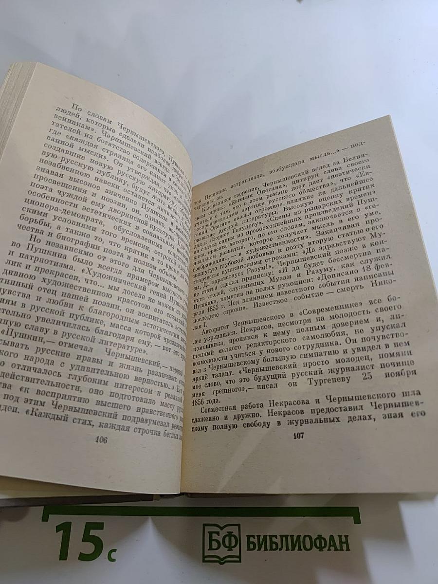 Чернышевский в Петербурге