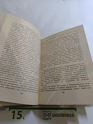 Чернышевский в Петербурге