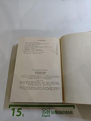 Чернышевский в Петербурге