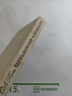 Чернышевский в Петербурге
