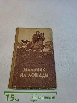 Мальчик на лошади